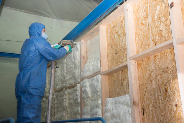 Best Insulation Replacement Services  in Salida, CA